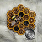 Honeycomb with Bee